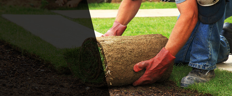 Mason City Landscapers
